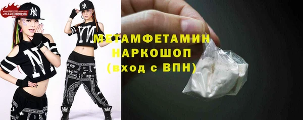индика Абаза
