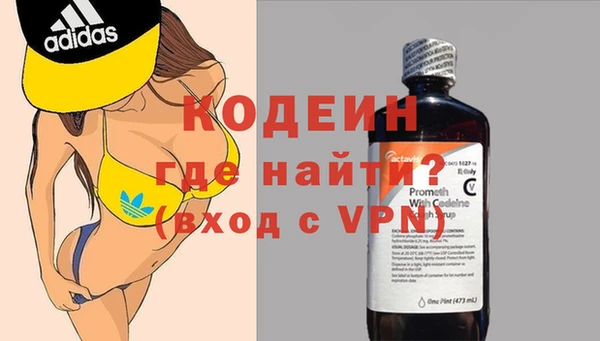 индика Абаза