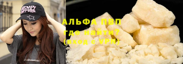 индика Абаза