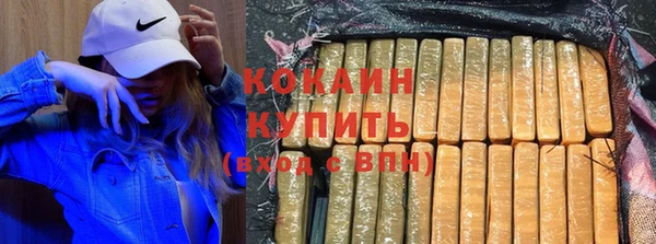 индика Абаза