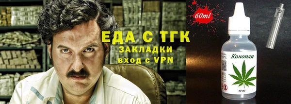 индика Абаза